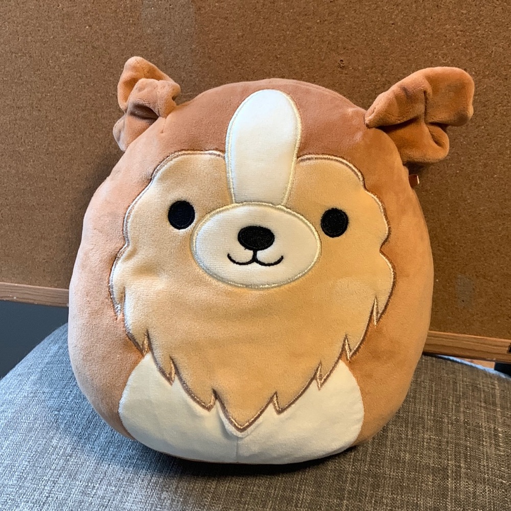 Squishmallow 8” - Andres the Sheltie - Rare